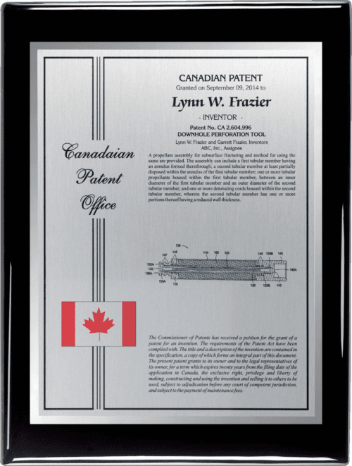 International Patent Plaque