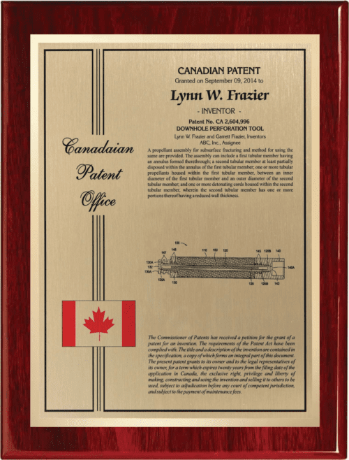 International Patent Plaque