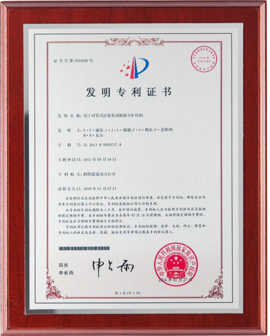 International/International Patent Plaque/FS-IE