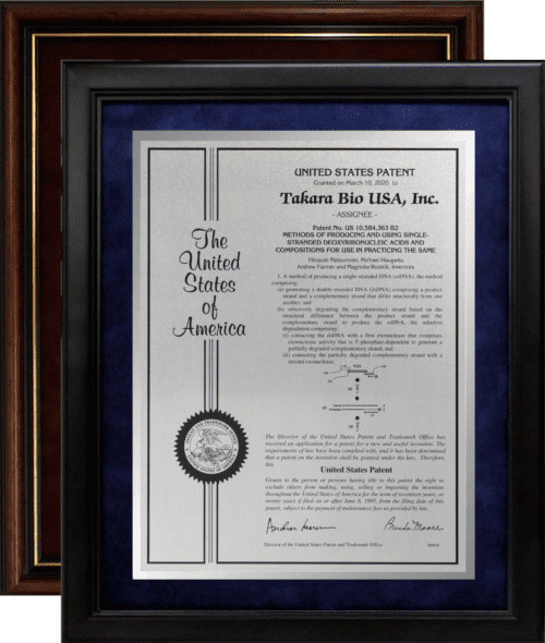 Framed Patent Displays/Corporate Frames/Framed Plate Contemporary/FP-3W-IE