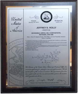 Patent Plaques/10 Millionth Contemporary/PL-6-IE