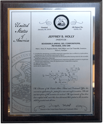 Patent Plaques/10 Millionth Contemporary/PL-6-IE