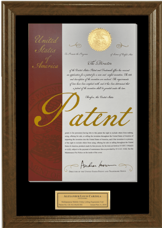 Framed Patent Displays/Display Case/Soild Cherry Patent Display Case/DC-W